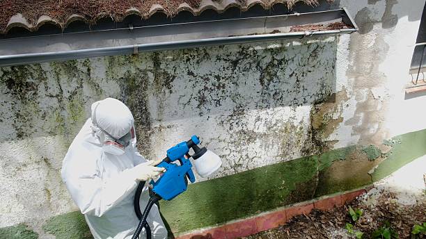 Top rated local Commercial Mold Remediation specialists in Woodbine, GA